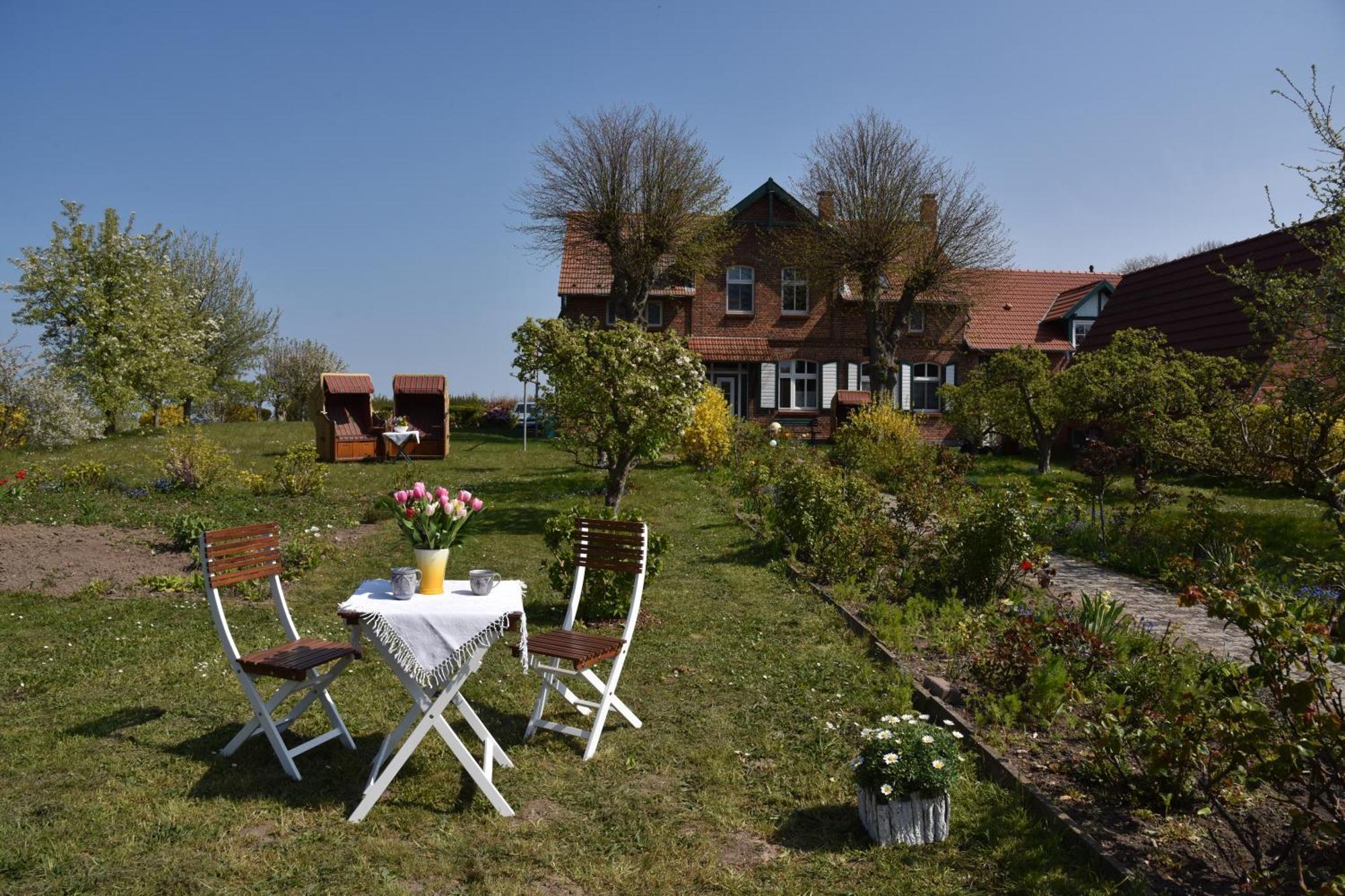 Hotel/Pension Bradhering Ahrenshoop Buitenkant foto